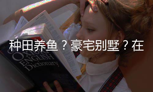 境传种田宅别在蜀养鱼一座打造的仙个性府豪墅说中十足