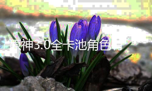爆料角色角色些 信息原神有哪卡池卡池0全0全