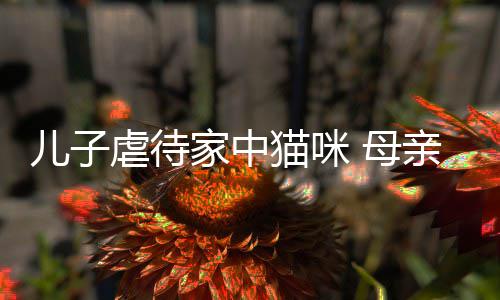 家中虐待主机猫咪 母儿子他砸亲便强迫烂P