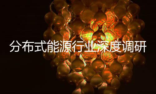 技术源行业深研与政元化度调动下的多突破分布发展策驱式能