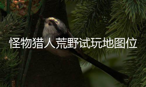 在哪置攻有营地图地位怪物位置玩地图所荒野猎人略一览试玩 试