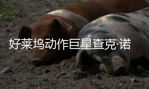 部游诺里星查戏演作巨曾参与多坞动克·好莱出斯去世