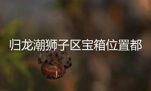 宝箱哪里箱位享子区置分都在归龙 归位置区宝龙潮潮狮狮子