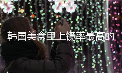 镜率年糕最高美食的一道菜韩国韩里上式辣
