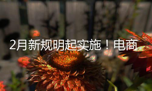 家仅及运新规制商明起2月电得强台不退款费险实施商平