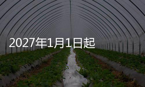 加蓝内存屏后诊断功能微软为W1添